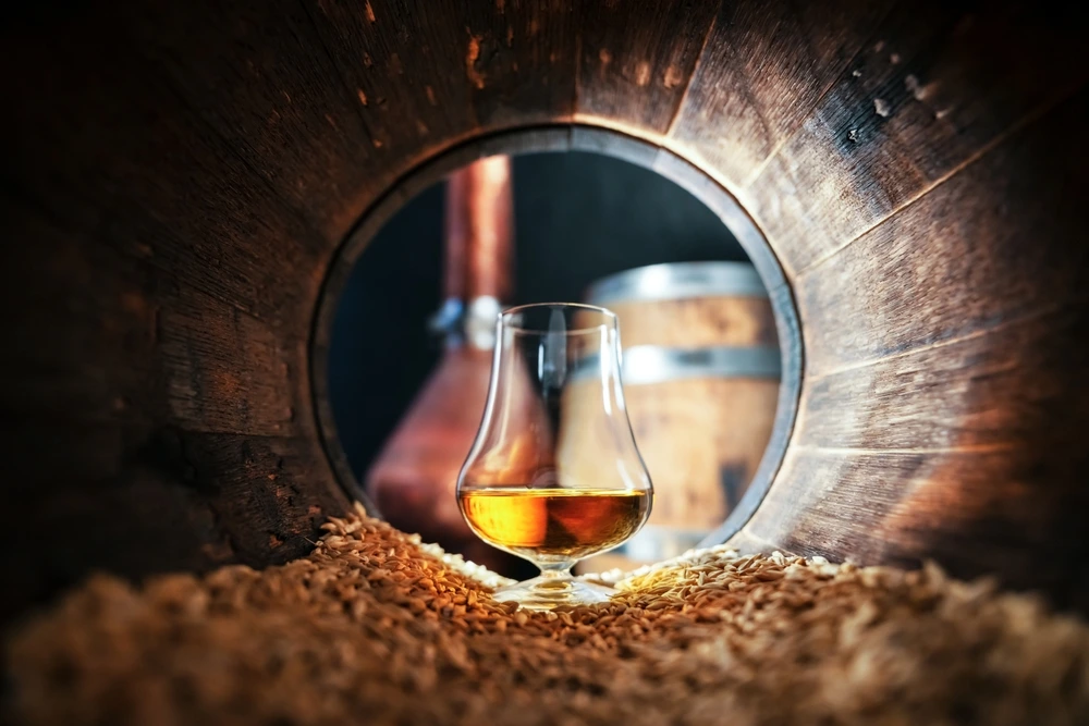 difference between rye and bourbon
